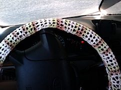 2010-07-18 11.59.12.jpg