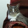 Dscf0308