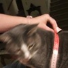Dscf2032