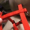 Dscf2040