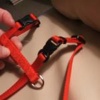 Dscf2041