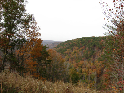 Statelines - 5