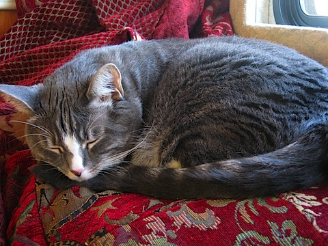 IMG_1212.JPG