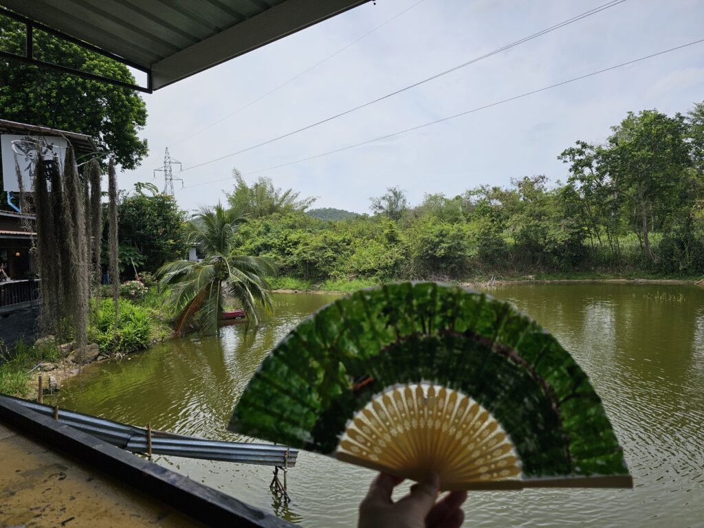 A hand-painted fan held up in front of the scene depicted on the fan. The scene is one of a small pond with green plants surrounding it.