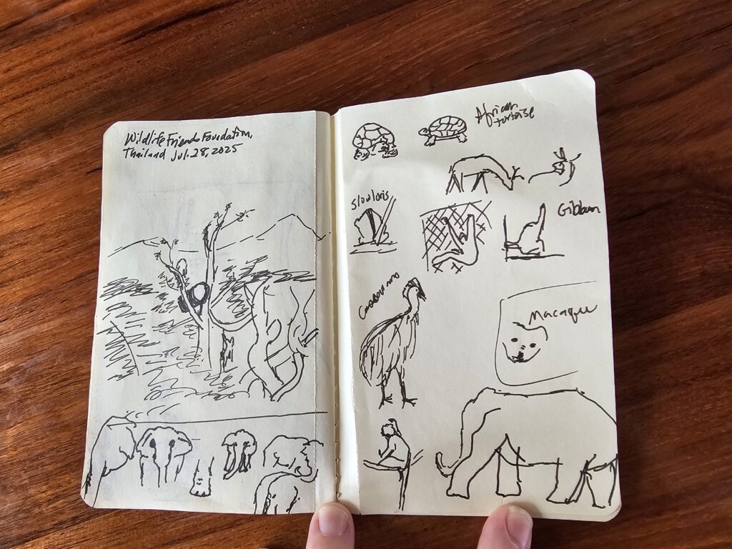 A small sketchbook with about a dozen small ink sketches of various animals