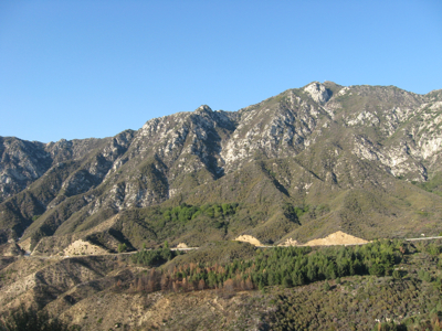 Angeles Natl Forest